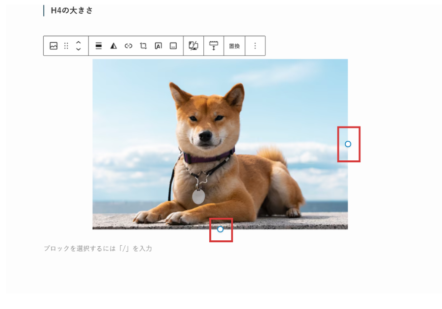 この〇ポチで画像サイズが変えられる。