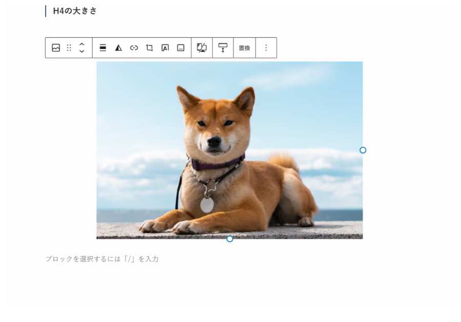実際に画像をアップしてみる。